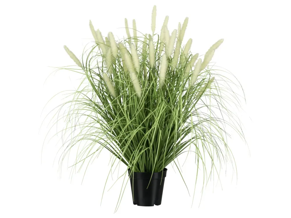 Gasper Kunstpflanze Pennisetum im Topf Grün | Schubiger Möbel