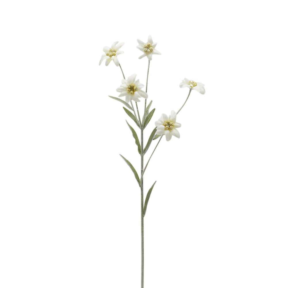 Edg Kunstblumen Edelweiss H: 65 cm  | Schubiger Möbel