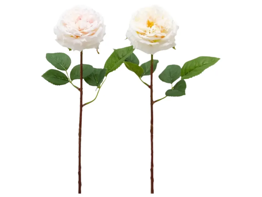 Edg Kunstblume Rose Weiss Gefüllt Weiss | Schubiger Möbel