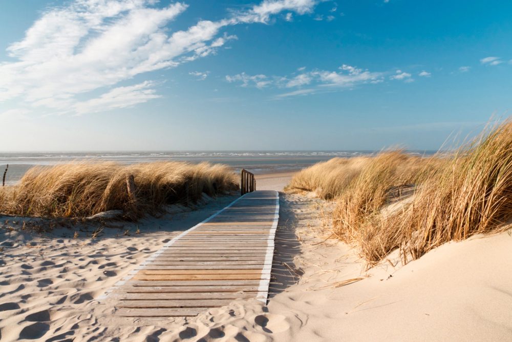 image LAND Bild mit Rahmen Holzweg Zum Meer 1  | Schubiger Möbel