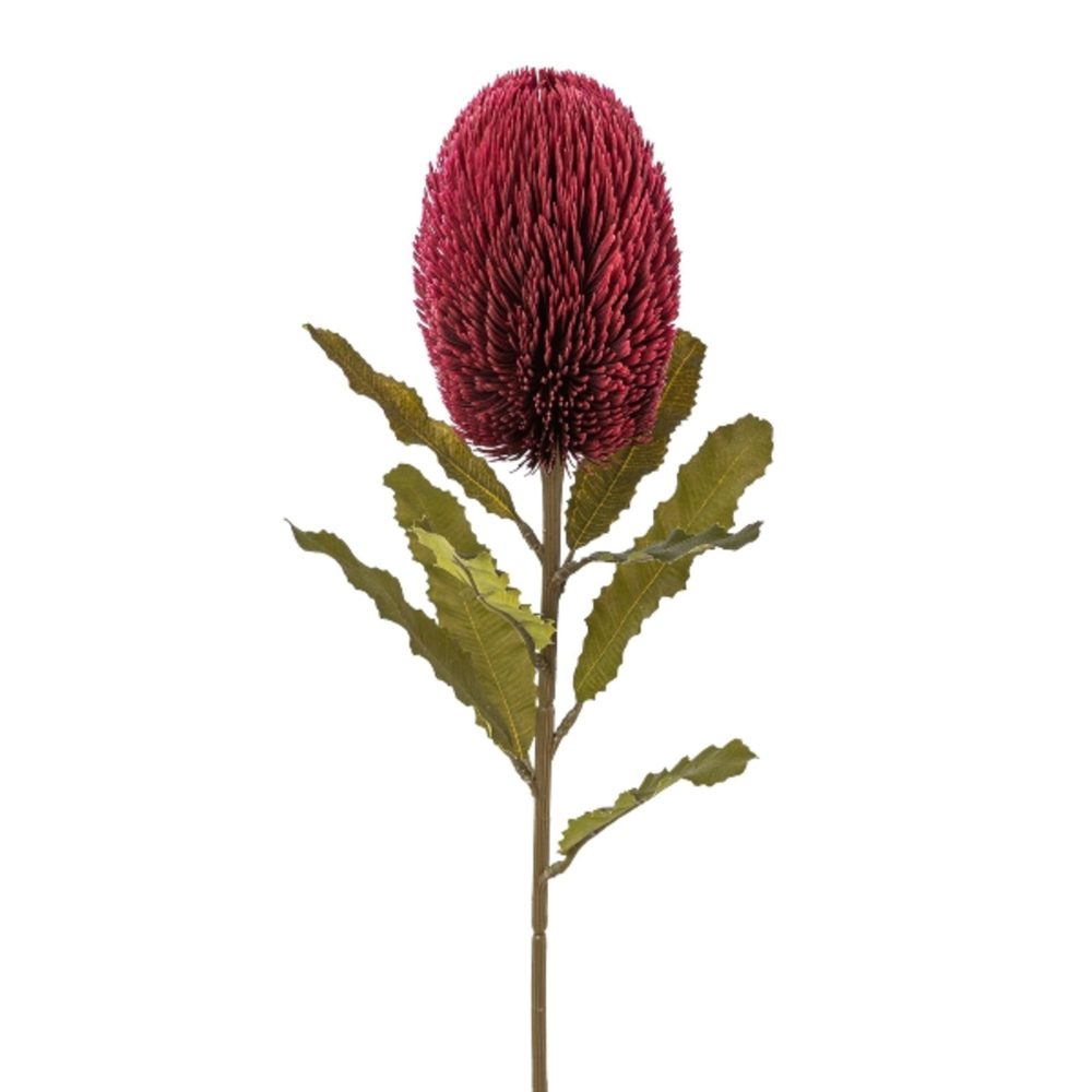 Gasper Kunstblume Banksia, Bordeaux H: 65 cm  | Schubiger Möbel