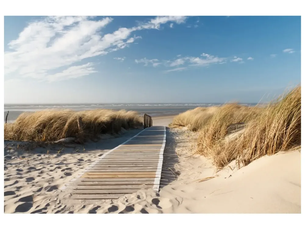 image LAND Digitaldruck auf Glas Holzweg Zum Meer 1  | Schubiger Möbel