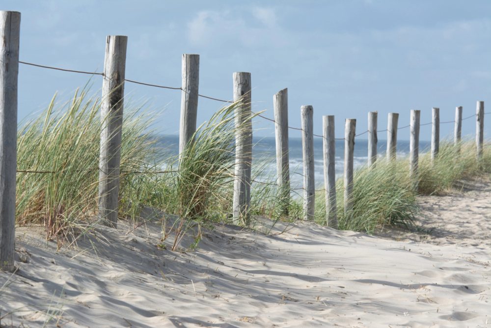 image LAND Alubild Zaun in Den Dünen  | Schubiger Möbel
