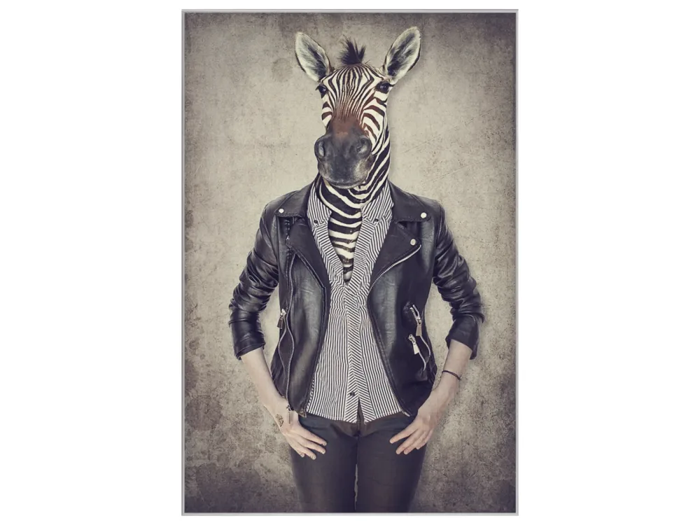 image LAND Bild mit Rahmen Zebra Gentleman  | Schubiger Möbel