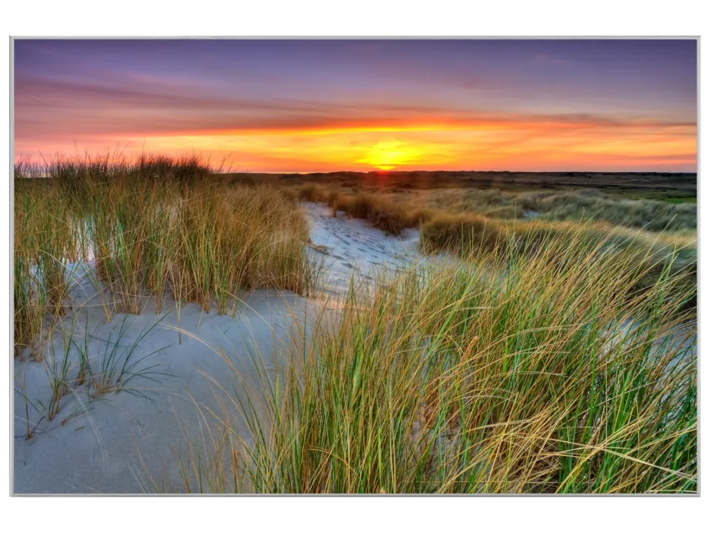 image LAND Bild mit Rahmen Dünenlandschaft mit Sonnenuntergang  | Schubiger Möbel