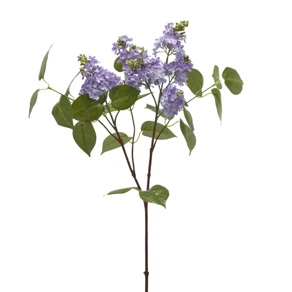 Edg Kunstblume Flieder Lila H: 66 cm  | Schubiger Möbel