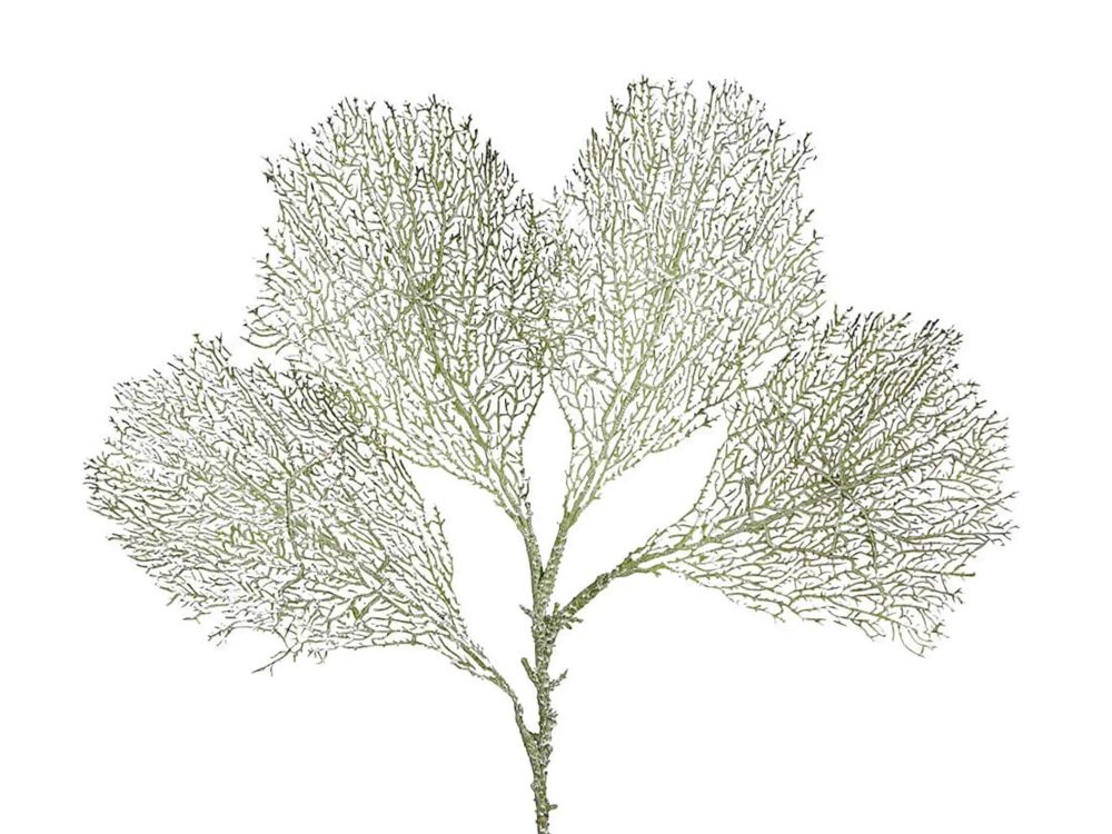 Edg Kunstblume Corallenblatt H: 66 cm  | Schubiger Möbel