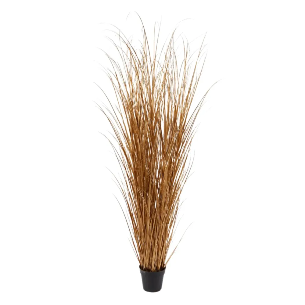 Edg Kunstpflanzen Schilfgras Gold H: 180 cm  | Schubiger Möbel