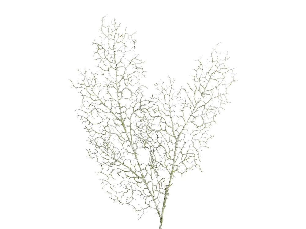 Edg Deko-Ast Koralle Graugrün H: 94 cm  | Schubiger Möbel