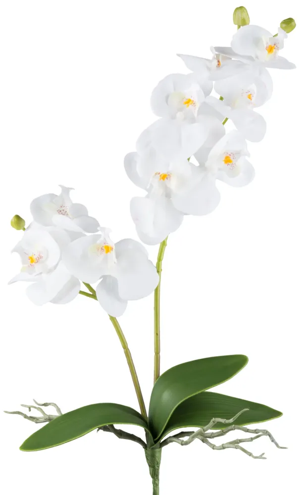 Gasper Kunstblume Orchidee Weiss H: 57 cm  | Schubiger Möbel