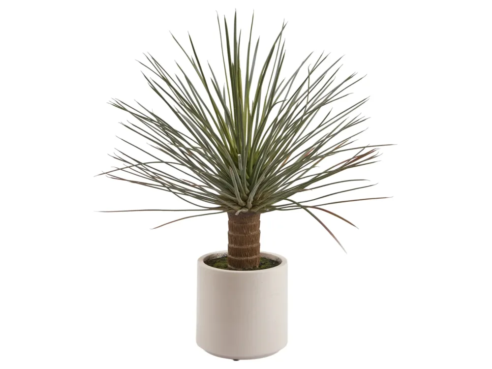 Edg Kunstpflanze Yucca H: 81 cm  | Schubiger Möbel