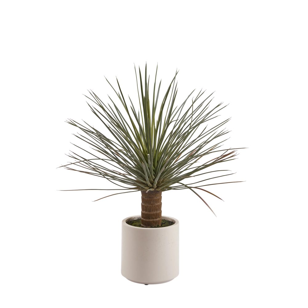 Edg Kunstpflanze Yucca H: 81 cm  | Schubiger Möbel