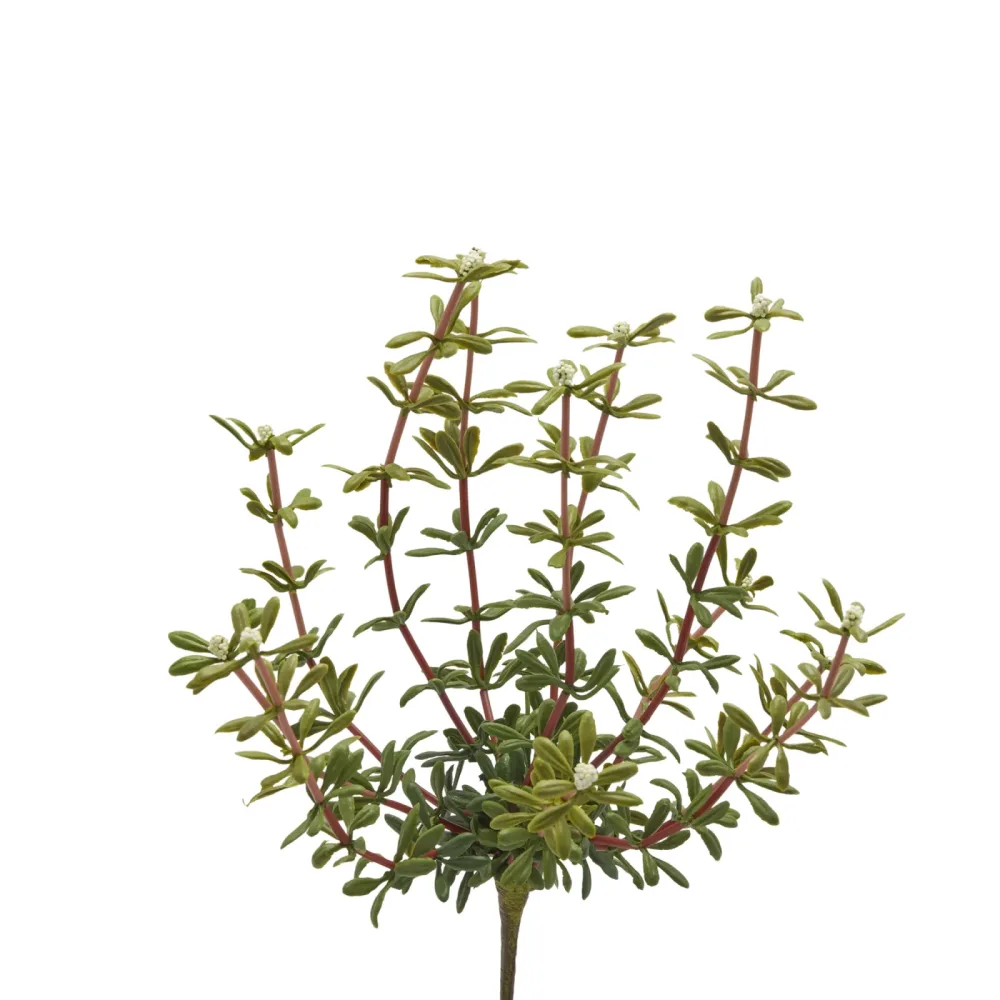 Edg Kunstblume Portulak Weiss H: 27 cm  | Schubiger Möbel