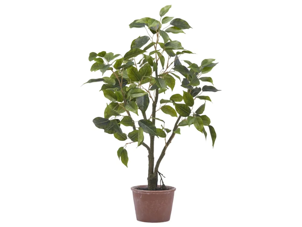 Edg Kunstpflanze Ficusbaum H: 60 cm  | Schubiger Möbel