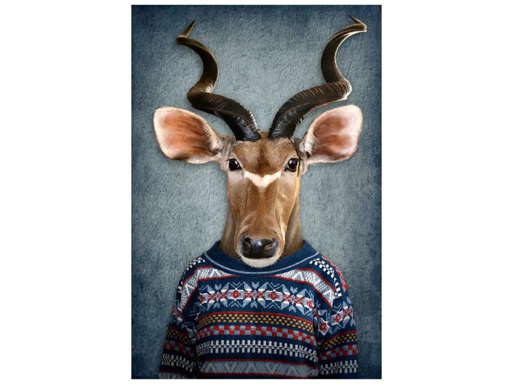 image LAND Digitaldruck auf Glas Antilope mit Pulli  | Schubiger Möbel