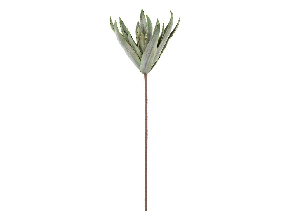Gilde Kunstblumen Kaktusblätter H: 110 cm  | Schubiger Möbel