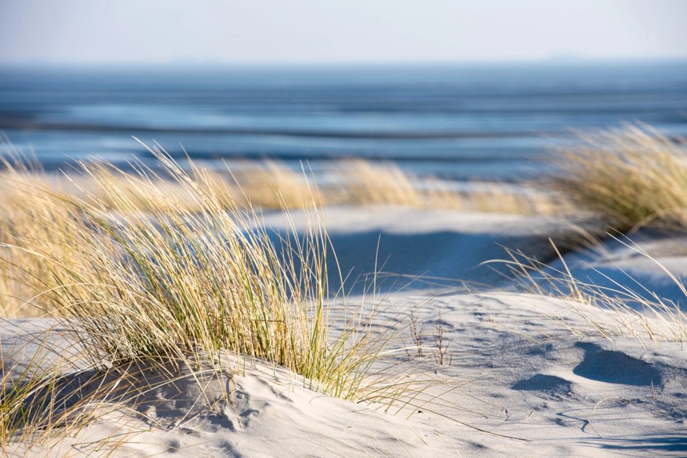 image LAND Canvas Time Out on The Beach  | Schubiger Möbel