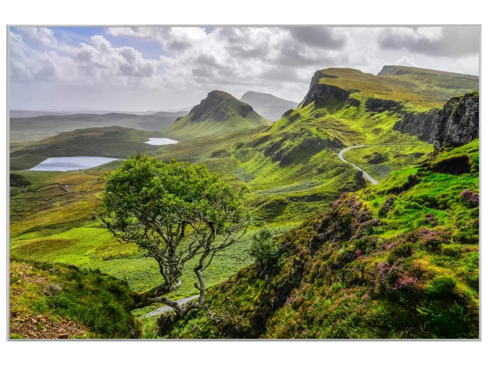 image LAND Bild mit Rahmen Hügelige Landschaft  | Schubiger Möbel