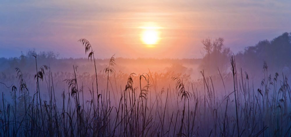 image LAND Alubild Sonnenaufgang im Nebel  | Schubiger Möbel