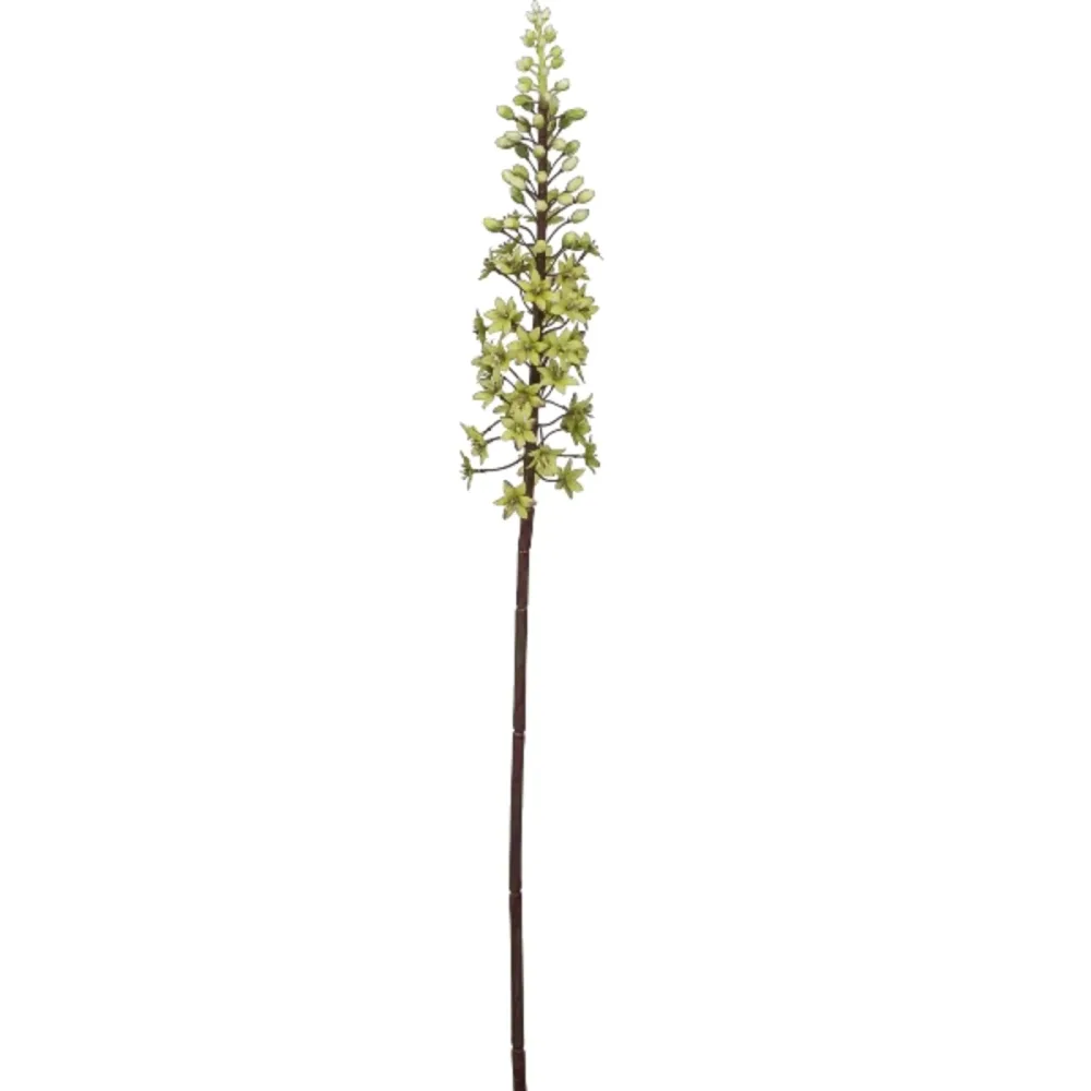 Gasper Kunstblume Eremurus, Hellgrün H: 89 cm  | Schubiger Möbel