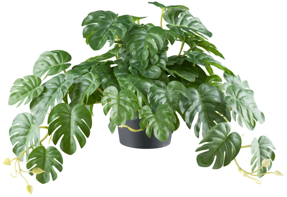 Gasper Kunstpflanze Splitphilodendron Hänger, Grün  | Schubiger Möbel