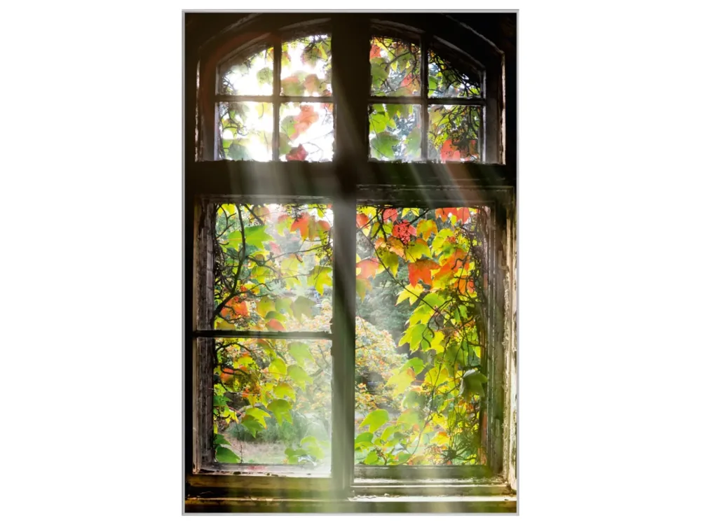 image LAND Bild mit Rahmen Fenster mit Laub  | Schubiger Möbel