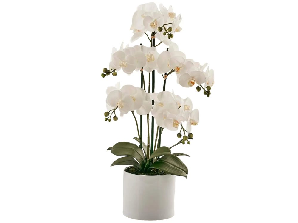 Edg Kunstpflanze Orchidee Weiss H: 65 cm  | Schubiger Möbel