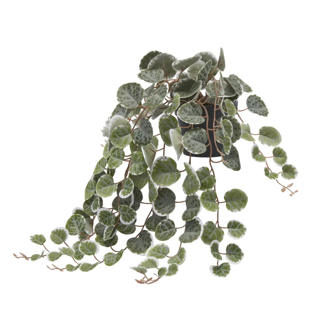 Edg Kunstblume Seidenpflanze Grün H: 40 cm  | Schubiger Möbel