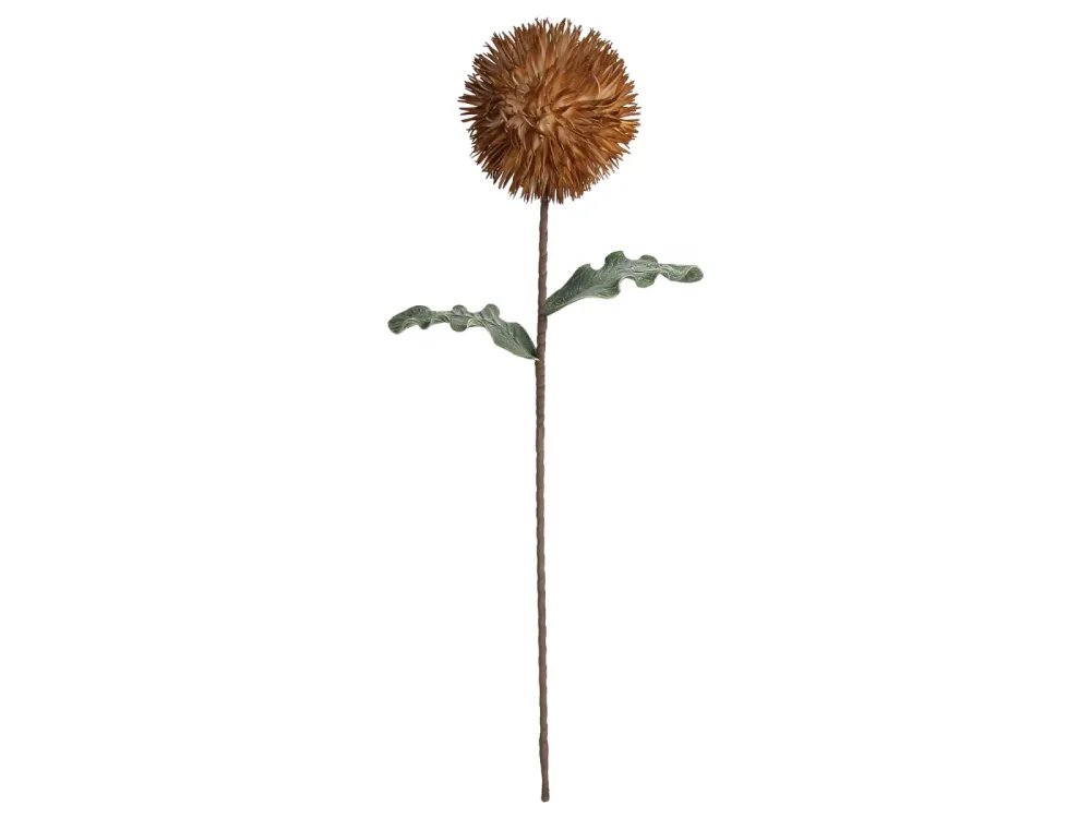 Kersten Kunstblumen Blüte Apricot H: 76 cm  | Schubiger Möbel