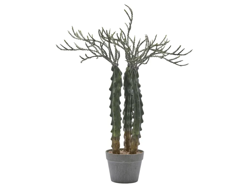 Edg Kunstpflanze Kakuts im Topf H: 80 cm  | Schubiger Möbel