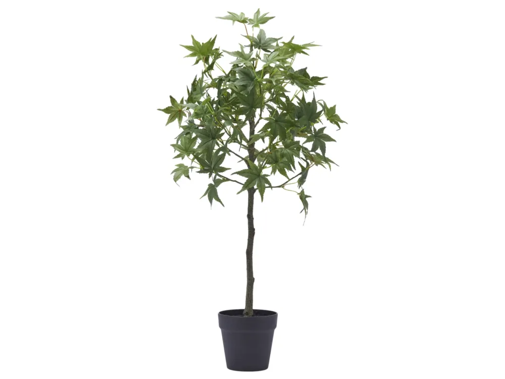 Edg Kunstpflanze Ahornbaum H: 76 cm  | Schubiger Möbel