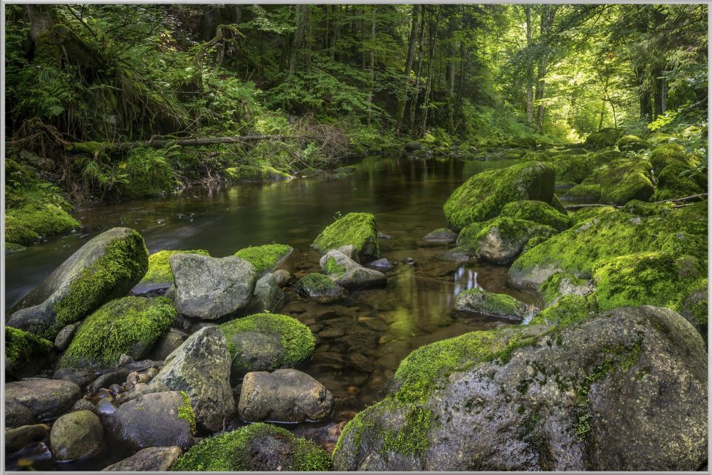 image LAND Bild mit Rahmen Flusslauf im Wald 3  | Schubiger Möbel