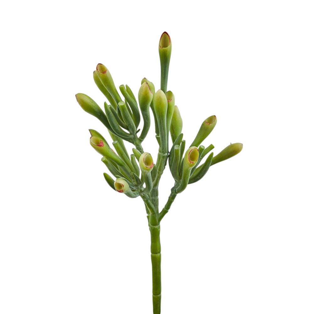Edg Kunstblume Trompetenpflanze H: 24 cm  | Schubiger Möbel
