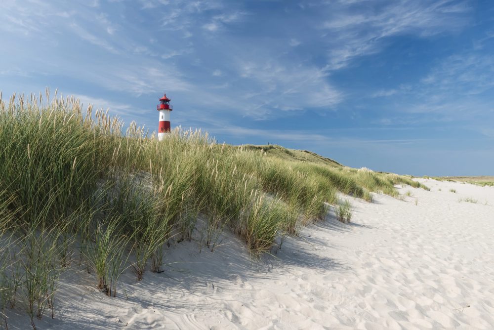 image LAND Canvas Leuchtturm am Strand  | Schubiger Möbel