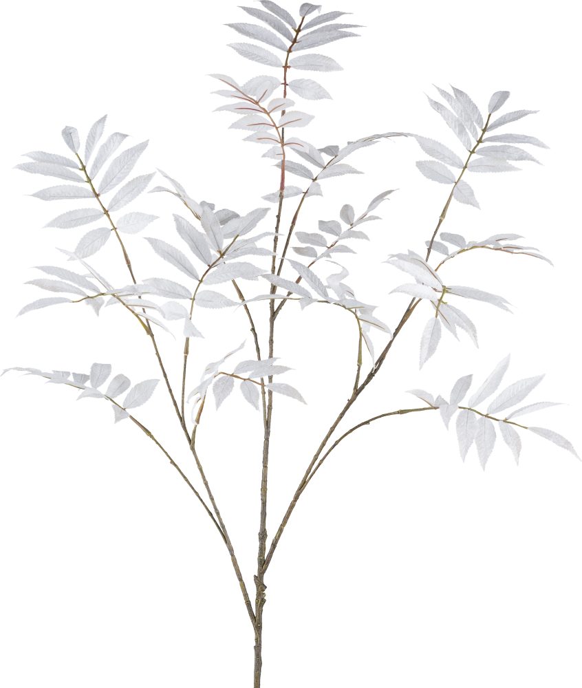 Gasper Kunstblumen Sorbuszweig, Naturweiss H: 109 cm  | Schubiger Möbel