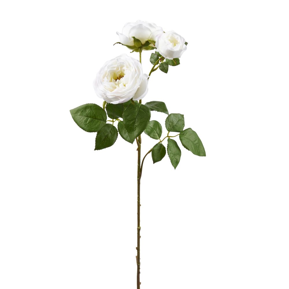 Edg Kunstblume Rose H: 80 cm  | Schubiger Möbel