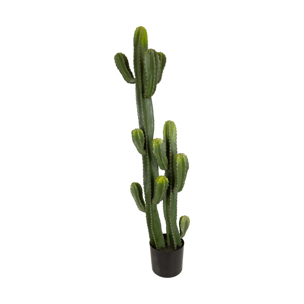 Decofinder Kunstpflanze Kaktus Grün H: 130 cm  | Schubiger Möbel