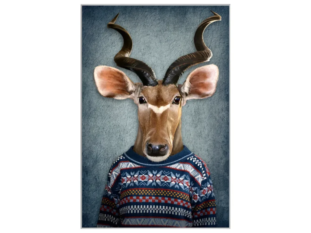 image LAND Bild mit Rahmen Antilope mit Pulli  | Schubiger Möbel
