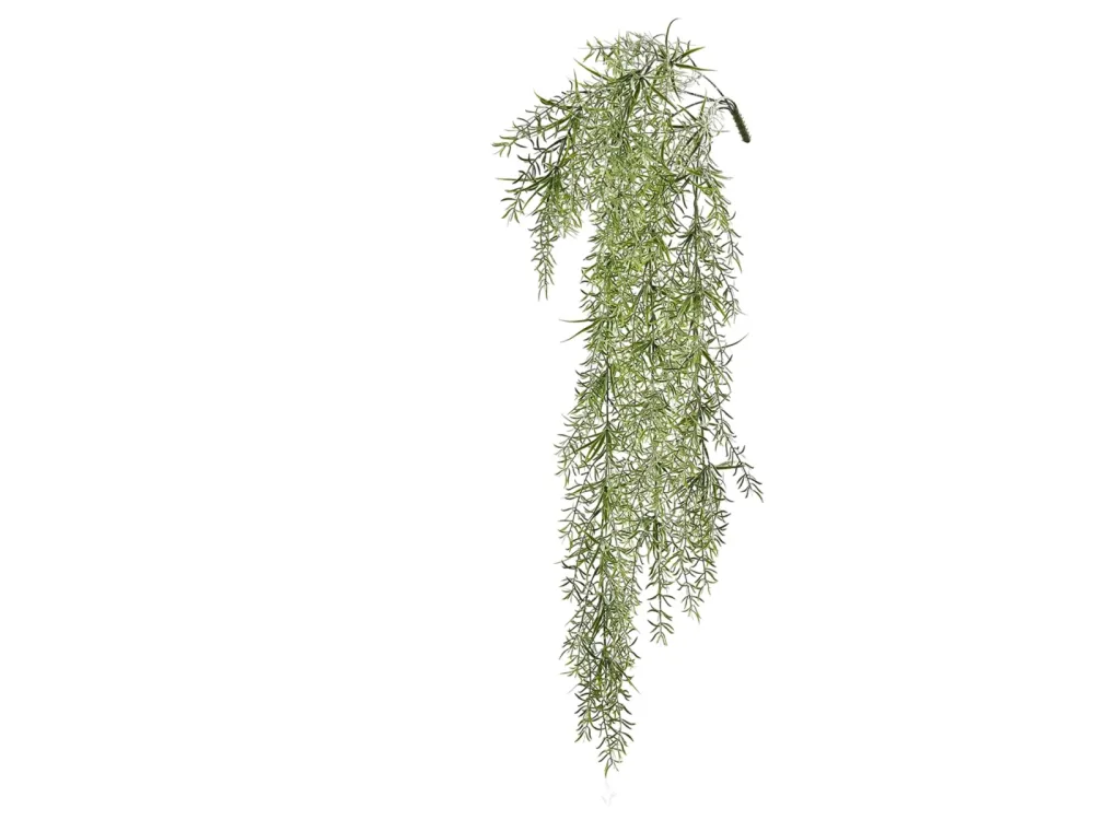 Edg Kunstblume Asparagus H: 86 cm  | Schubiger Möbel
