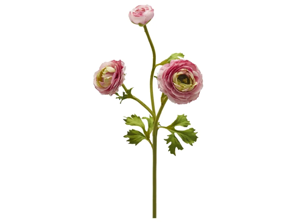 Edg Kunstblume Ranunkel H: 60 cm  | Schubiger Möbel