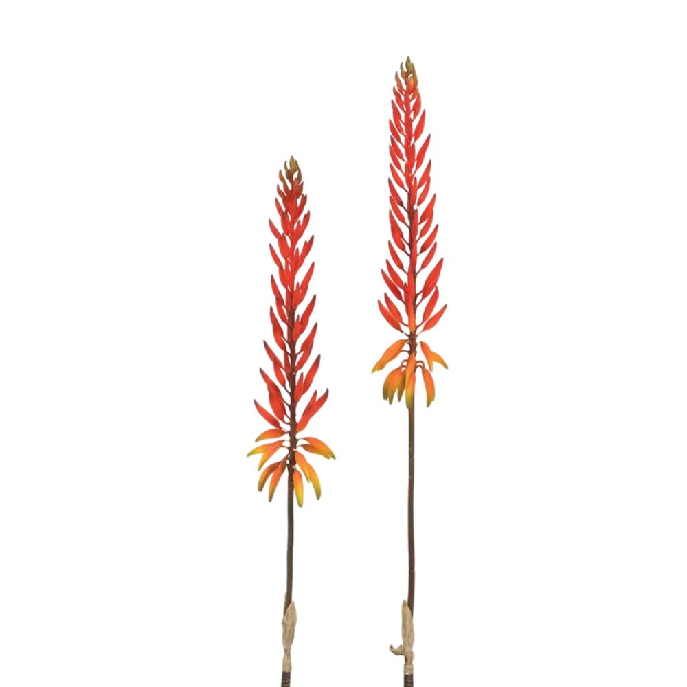 Edg Kunstblume Aloeblüte Coral H: 82 cm  | Schubiger Möbel
