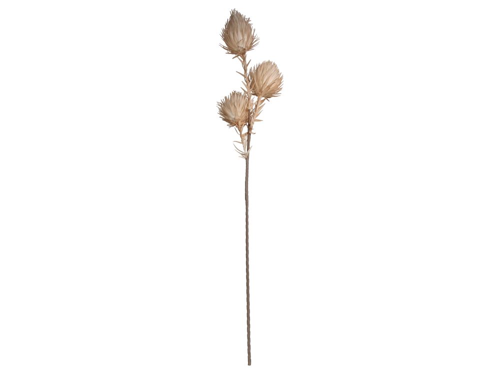 Kersten Kunstblumen 3 Knospen Beige H: 100 cm  | Schubiger Möbel