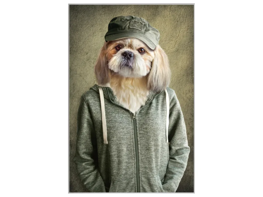 image LAND Bild mit Rahmen Witziger Hund mit Jacke  | Schubiger Möbel