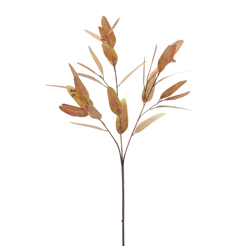 Edg Kunstblumen Eukalyptus Grün,braun  | Schubiger Möbel