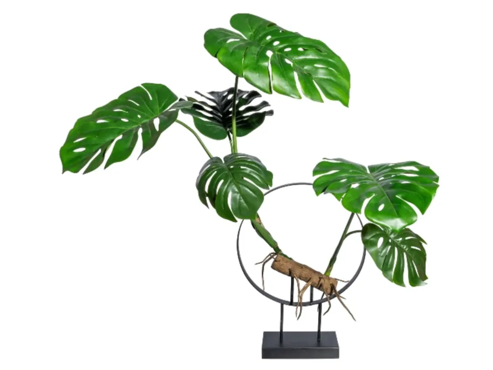 Gasper Kunstpflanzen Splitphilodendron mit Kunstholz H: 100 cm  | Schubiger Möbel