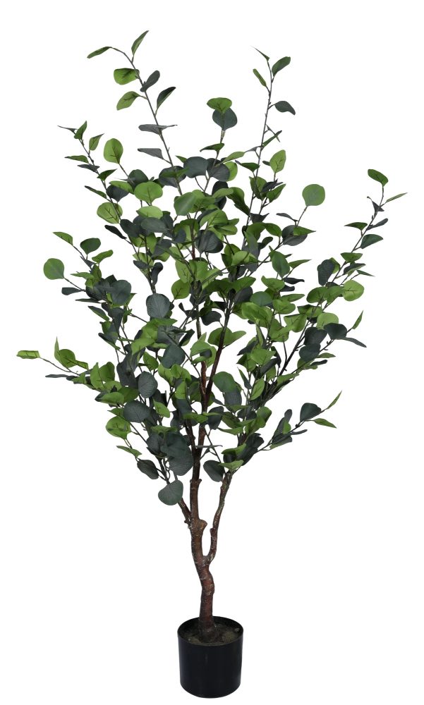 Bizzotto Kunstpflanzen Eukalyptus H: 150 cm  | Schubiger Möbel