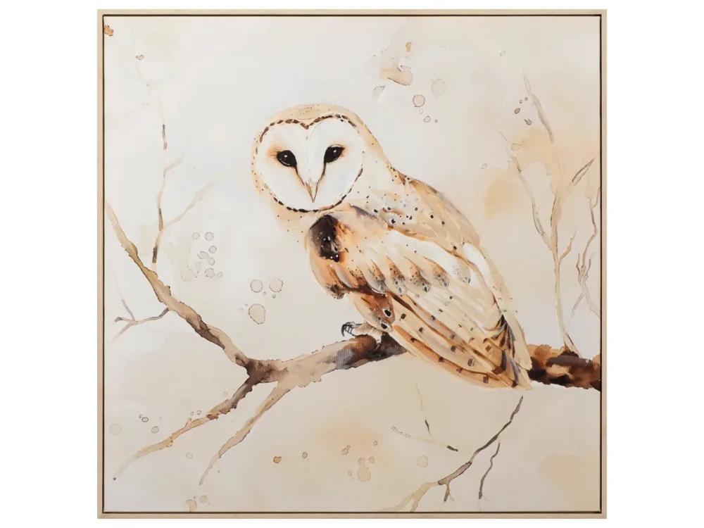 image LAND Bild Natural Barn Owl  | Schubiger Möbel