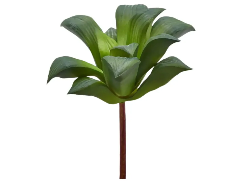 Edg Kunstblume Agave Klein Grün H: 16 cm Grün | Schubiger Möbel