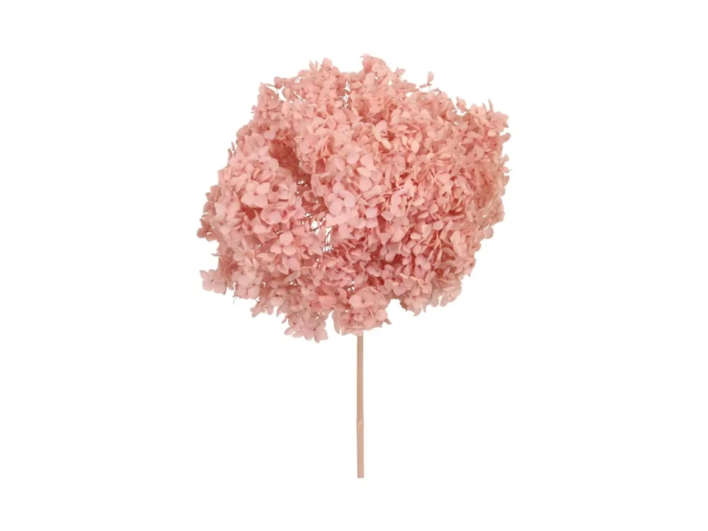 Decofinder Kunstblumen Bund Hortensien, Pink, H:60 cm Rosa | Schubiger Möbel