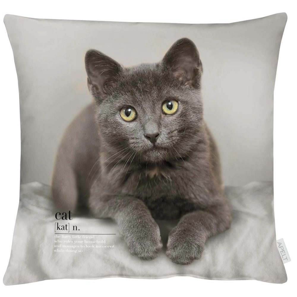 Apelt Kissenhülle Katze Grau 45x45 cm  | Schubiger Möbel